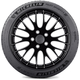 Шины Michelin Pilot Sport 4 S (PS4S) | RU-SHINA.ru